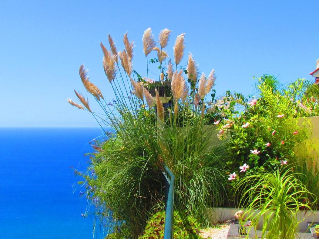 Casa Serena Apartments Arco da Calheta  Εξωτερικό φωτογραφία